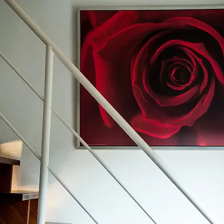 B Hotel