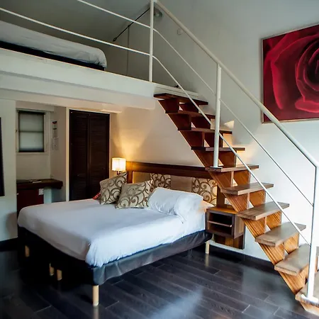 B洛奇酒店 酒店 3*