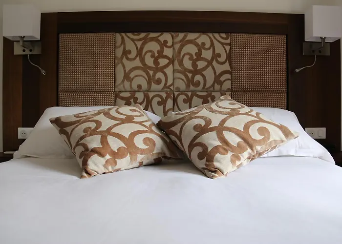 B 3* סן טרופז